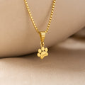 Collar Personalizado con Huella y Nombre de Mascota