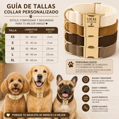 Collar Personalizado para Perro con Chapa Grabada