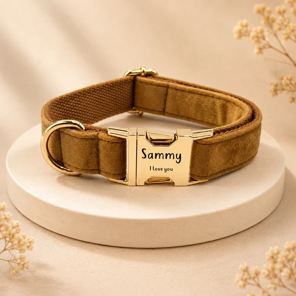 Collar Personalizado para Perro con Chapa Grabada