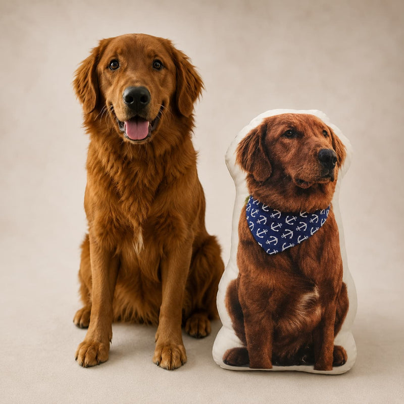 Almohada Personalizada con la Foto de tu Mascota
