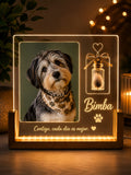 Lámpara Personalizada con Foto de tu Mascota