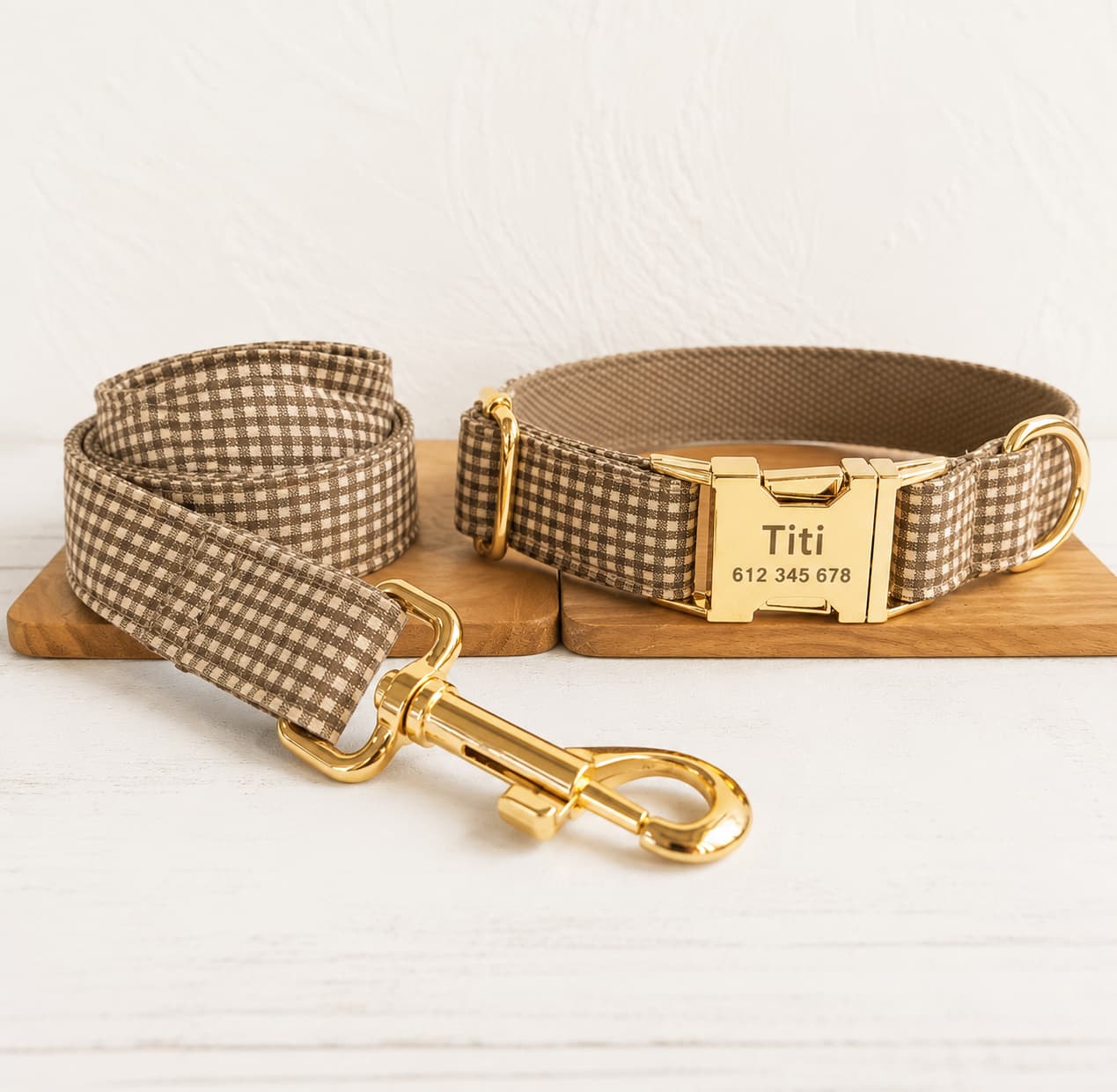Set Premium Collar + Correa Personalizados para Perro
